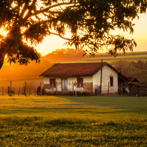 A farm on a field at sunset